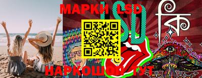 крисы Нальчик
