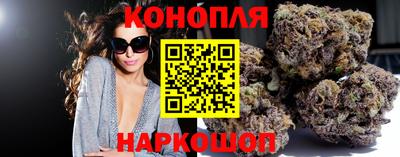 прущие крисы Нарткала