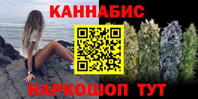 крисы Нальчик