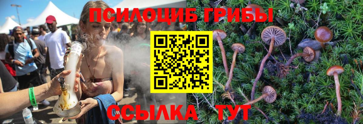 Псилоцибиновые грибы ЛСД Сыктывкар