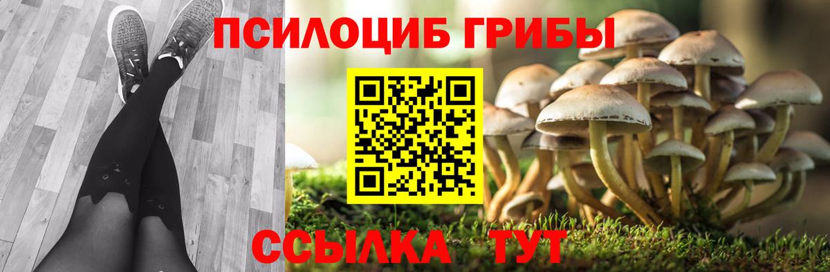 Псилоцибиновые грибы мухоморы  Псилоцибиновые грибы ЛСД  Вход с VPN  Сыктывкар 